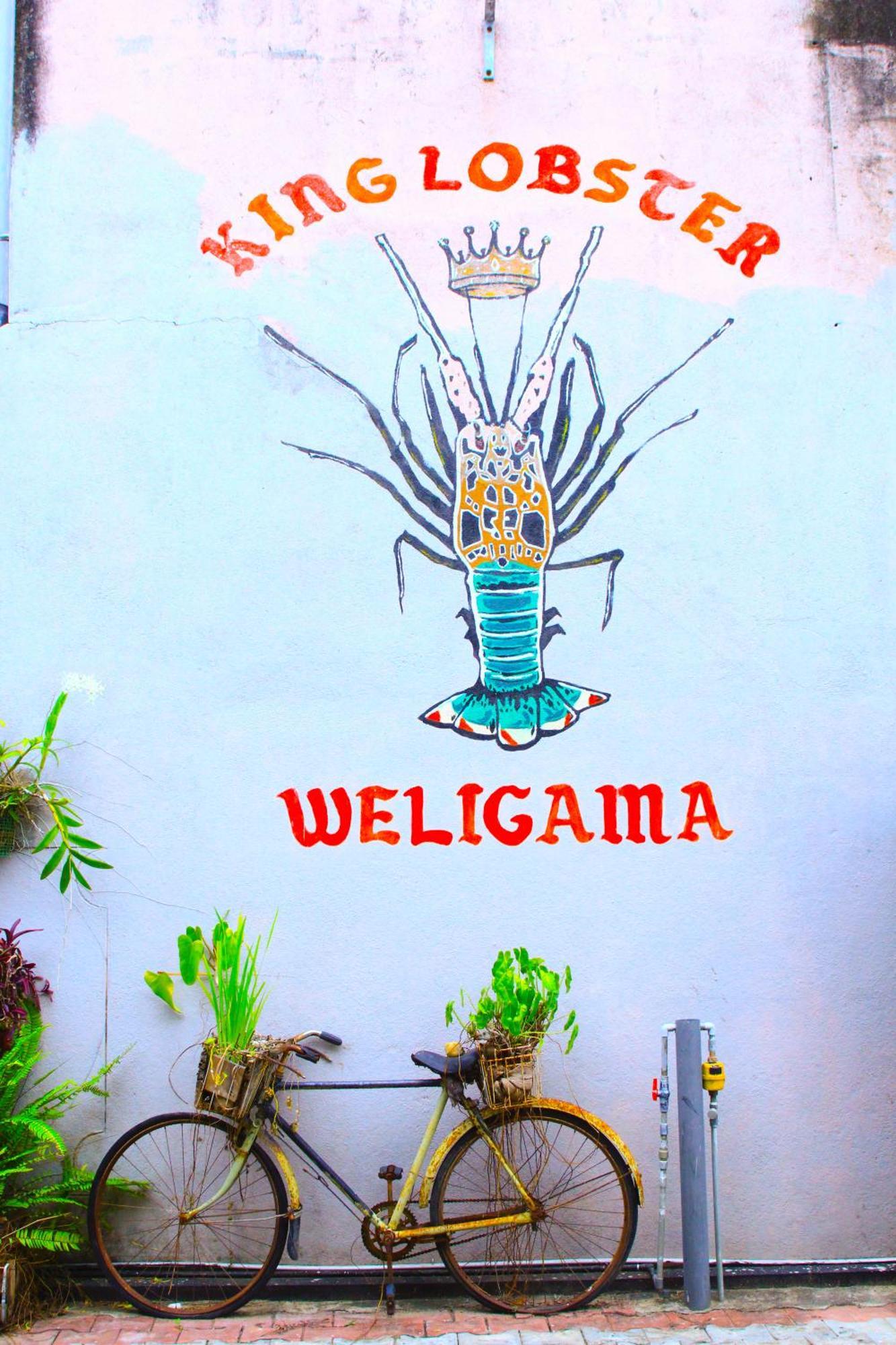 7Elements - Boutique Hotel & Restaurant Weligama Exterior foto